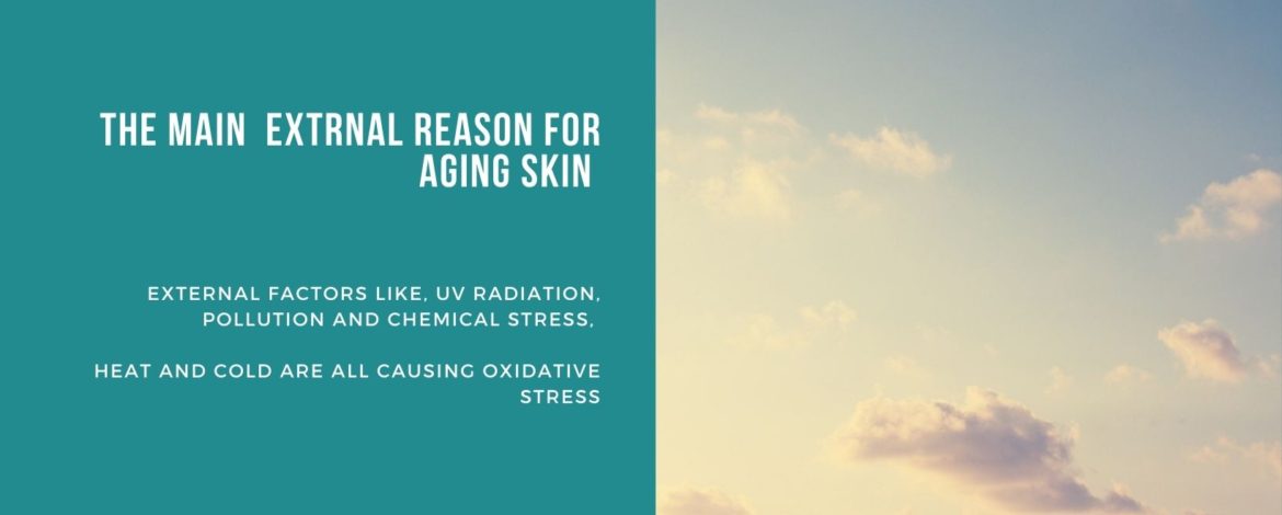 Did you know there is external factors that aid in your scalp aging? UV from the sun, pollution and chemical stress can all have an effect on your scalp aging. Even the temperature whether is hot or cold are all causing oxidative stress. Talk to the hair experts at Halfcut Mclaren Vale and we can help protect your scalp and hair from these effects!!